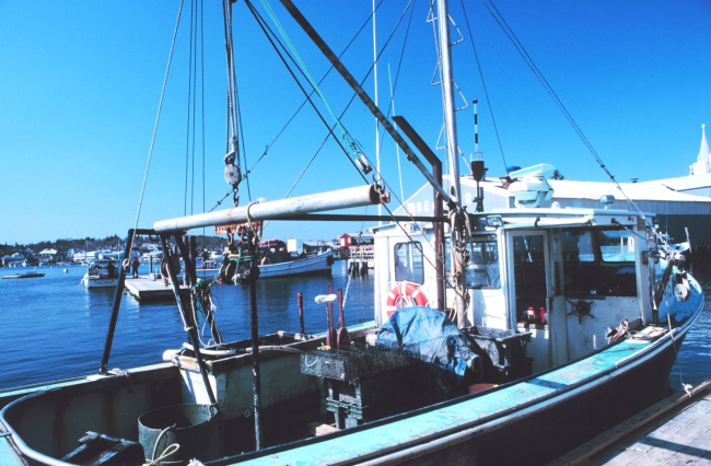 Fishing vessel tied up at the Lobstermen's Co-op