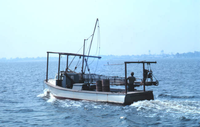 A Chesapeake Bay clam dredge boat