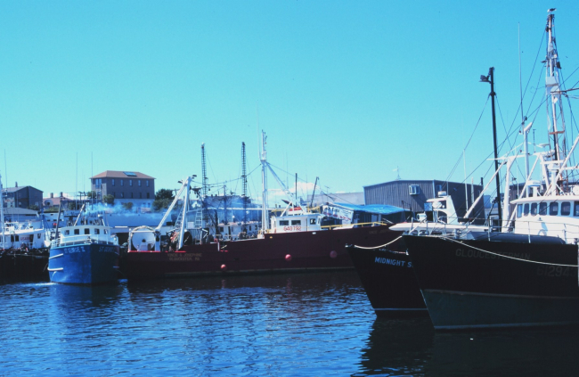 Trawlers in port