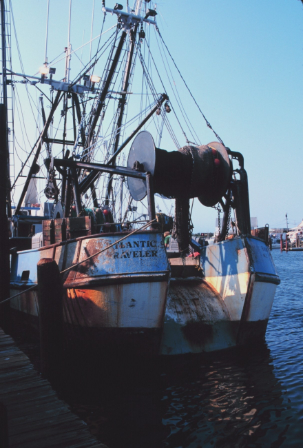The F/V ATLANTIC TRAVELER squid rigged at the Co-op Seafood Retail Market