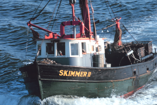 The clam dredger SKIMMER II