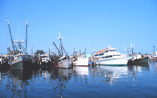 Commercial clam and recreational fishing boats on the Woodcliff Canal