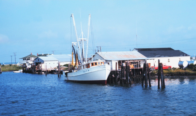 A shrimp boat at the pier