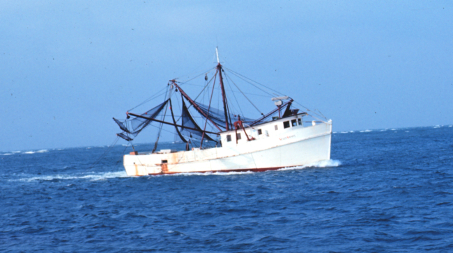 A shrimp boat underway