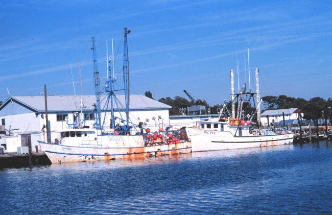 Set line fishing vessels
