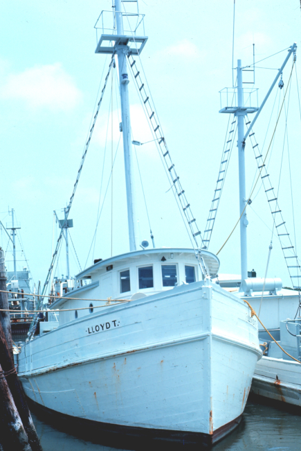 Menhaden mother vessel in port