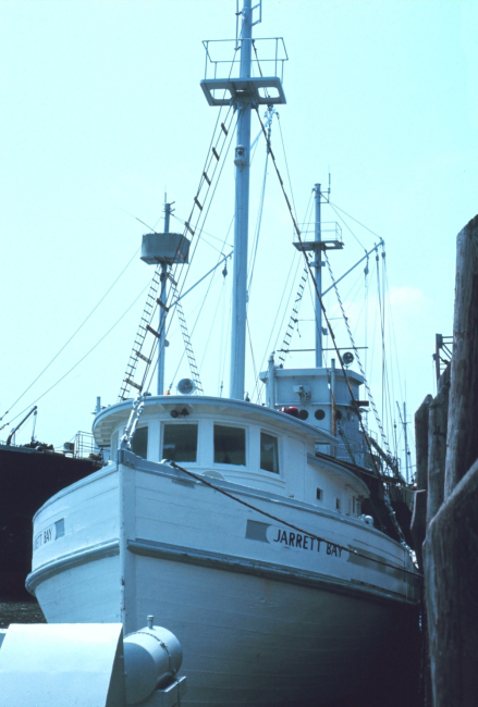 A menhaden mother vessel