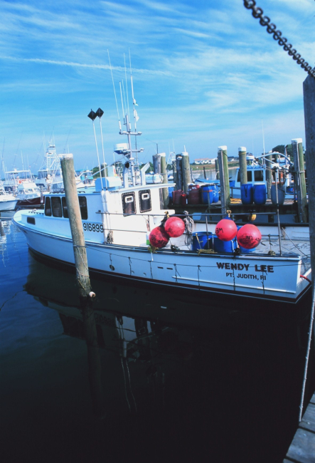 Part of the inshore lobster fleet