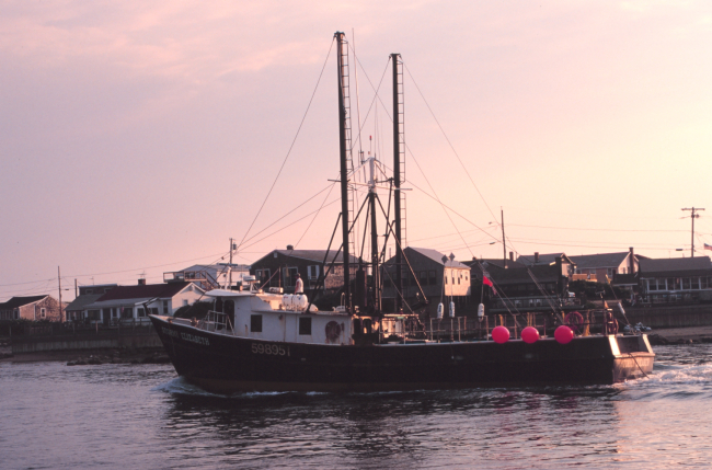 The lobster boat STORMY ELIZABETH heading out of port