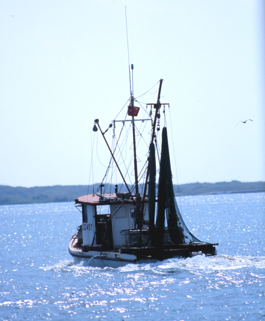 A shrimp boat heads out for the fishing grounds