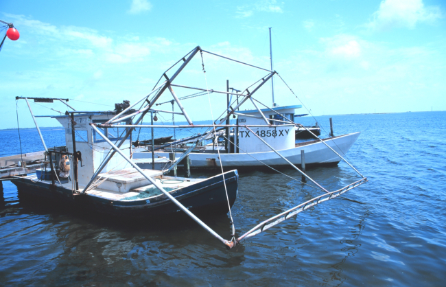 Shrimp boats tied up on the Padre island side of the JFK Causeway