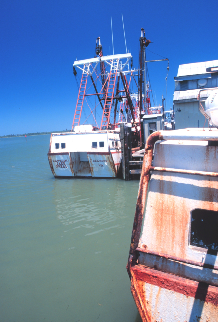 The O'Neil fleet of scallop dredgers