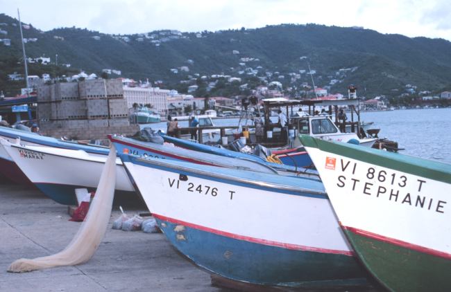 Part of the small-scale fishing fleet at Frenchtown Harbor