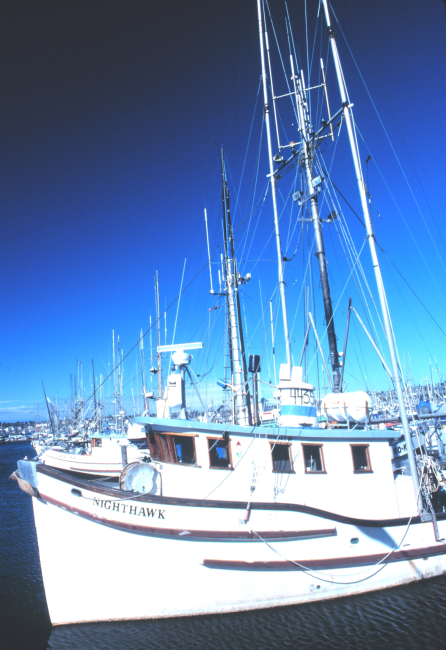 Fishing vessels at Fishermen's Port