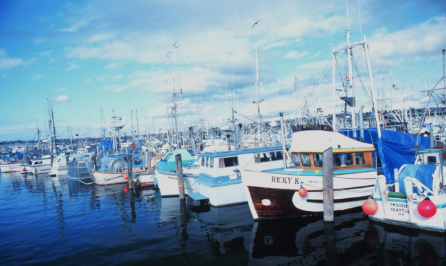 Fishing vessels at Fishermen's Port