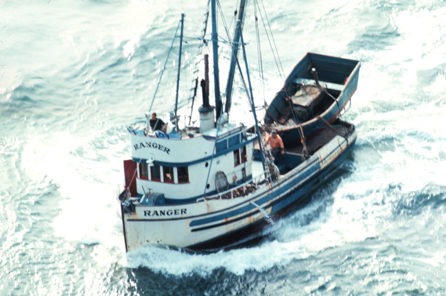 A purse seiner in Deception Pass