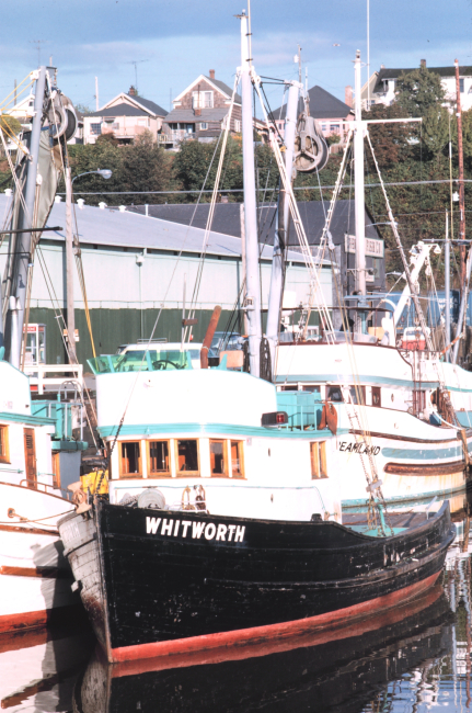 The F/V WHITWORTH