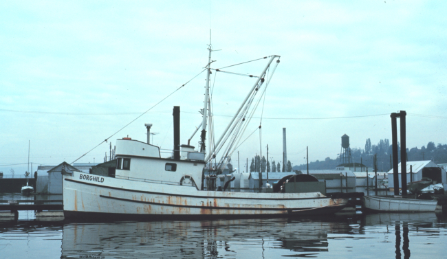 Port profile of a purse seiner