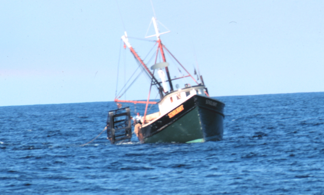 Clam dredging with the dredge deployed from the starboard side