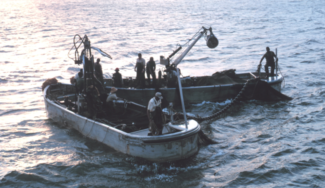 Menhaden fishing - Getting ready to set the net early in the morning