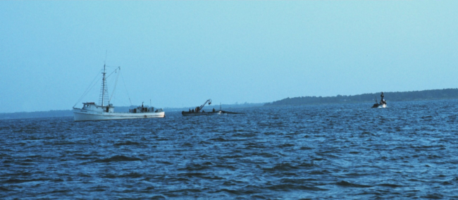 Menhaden fishing - mother vessel and purse seiner boats