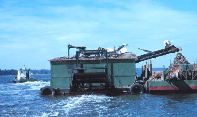 Oyster dredge at work