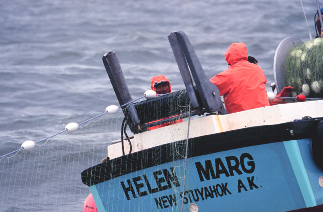 Gillnetter F/V HELEN MARG putting out net for salmon in Bristol Bay