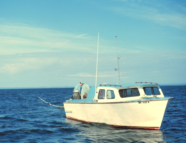 Gillnet fishing for salmon on the Washington coast