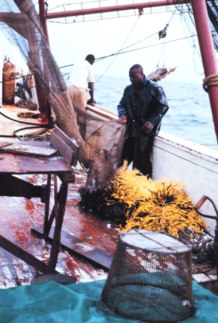 Deck scene on a shrimp trawler