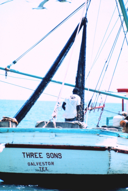 Shrimp trawling operations off the THREE SONS