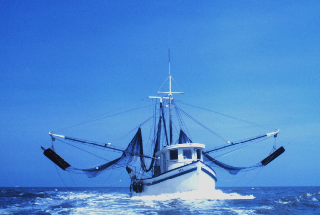 Bow view of a double-rigged shrimp trawler