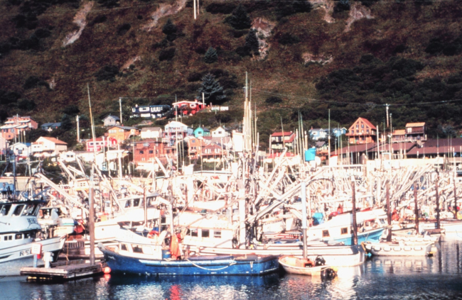 Commercial fishing vessels at Cordova