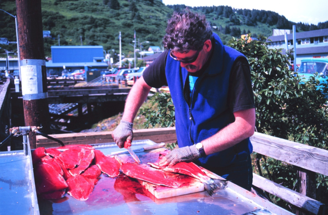 Heading and gutting salmon in anticipation of a community fish fry in support of the United Seiners Association