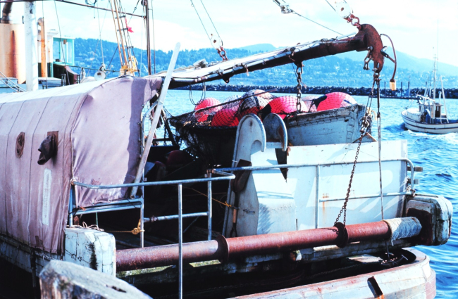 Fishing vessel alongside