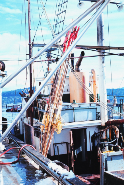 Fishing vessel alongside