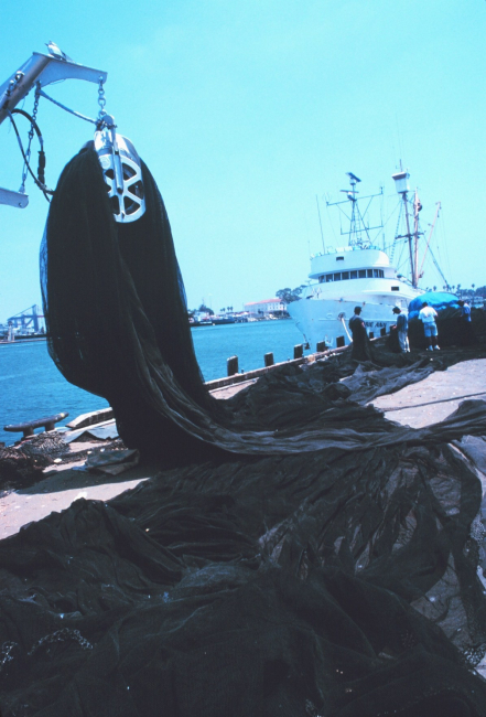 Mountains of nets, chain, and line - some of the working gear of commercial tuna boats