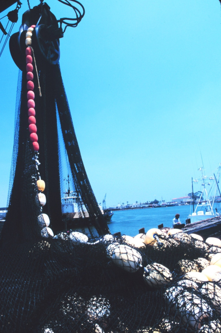 Mountains of nets, chain, and line - some of the working gear of commercial tuna boats