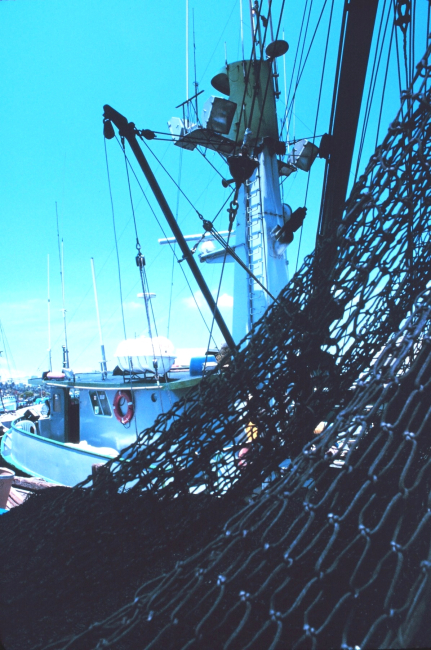 Tuna boat tied up at San Pedro maintaining gear