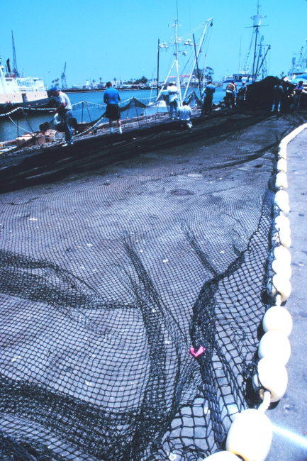 Crew readying netting for next trip