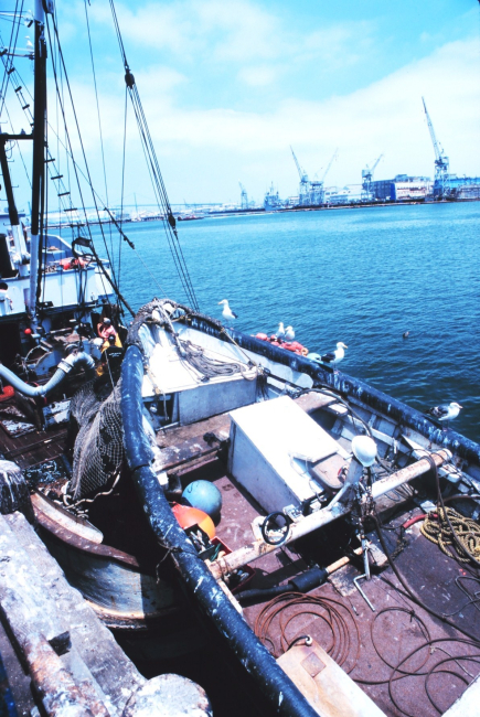 Looking over the stern of a purse seiner