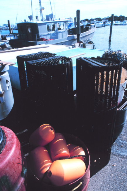 Floats, pots, and boats - commercial lobster boats operate out of Indian River