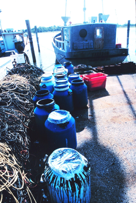 Paraphernalia of the commercial lobstermen operating out of Indian River