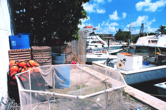 Stone crab holding pen - used to protect crab after its claw is removed