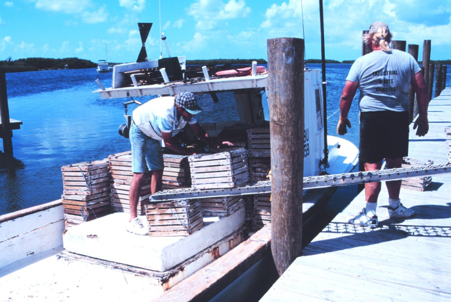 Stone crab fishermen loading their traps on board