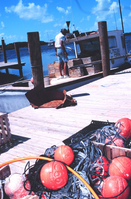 Pots, floats, lines, and boats - the tools of the stone crab fishermen