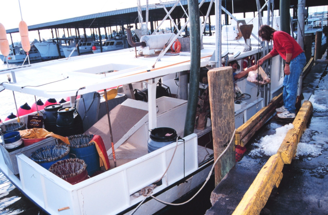 Shark-grouper-snapper longliner takes on bait mullet, ice, and supplies