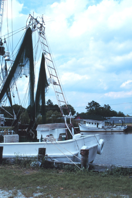 Shrimp boats in port with nets up and drying