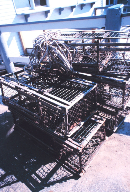 Lobster traps on the pier at the Lobstermen's Co-op