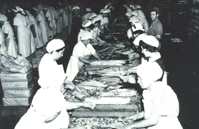 Women preparing tuna for canning at a plant in southern California