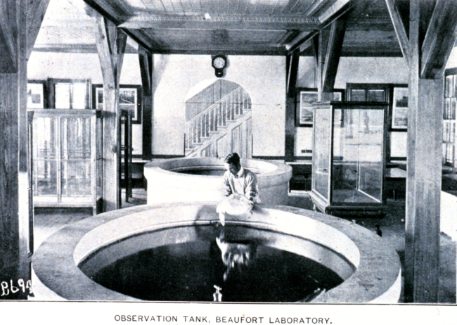 Observation tank, Beaufort Laboratory